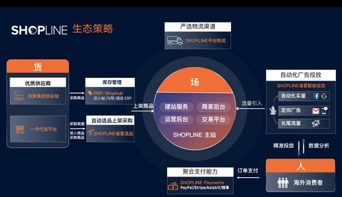 中国跨境电商独立站格局将定,谁将成为中国版shopify